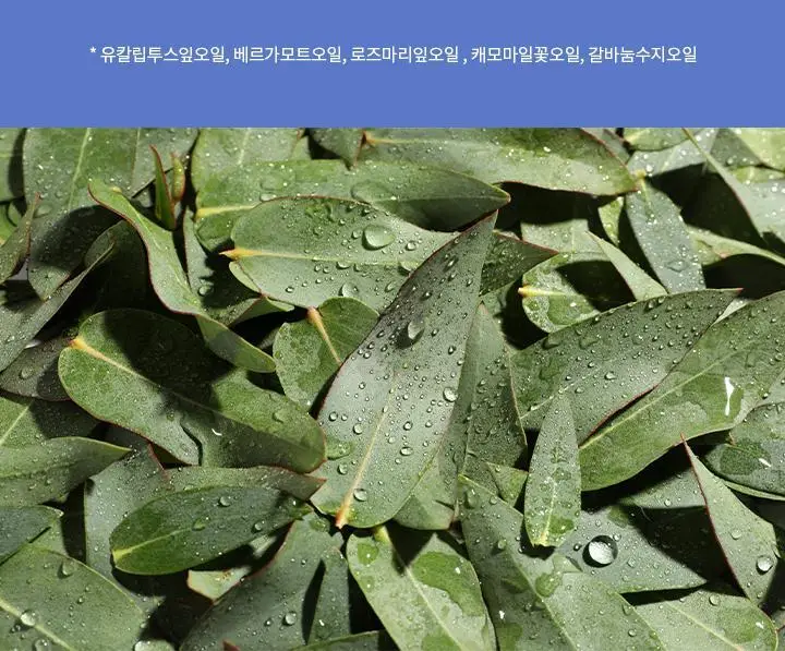 [민감피부 클렌징]바닐라코 클린잇제로 카밍 클렌징밤 100ml 상세페이지 17